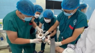 Nữ tiểu thương bị máy xay thịt cuốn nát bàn tay