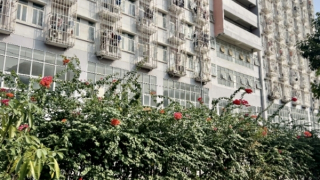 Điều tra nguyên nhân nữ sinh viên tử vong bất thường