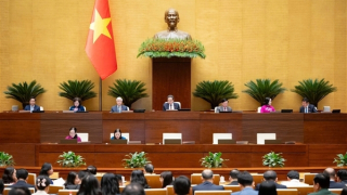 Gia hạn áp dụng thuế suất thuế tiêu thụ đặc biệt đối với xe điện chạy pin