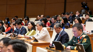 Từ ngày 1/10/2026 sẽ thí điểm thực hiện chế định luật sư công tại 8 Bộ và 10 địa phương