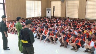 Triệt phá “Trường gà quốc tế Viêng Xay”, khởi tố 196 bị can