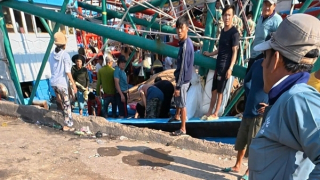 Ngạt khí dưới hầm tàu cá, 2 anh em phải đi cấp cứu