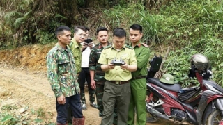 Tăng cường ứng dụng khoa học công nghệ trong quản lý, bảo vệ rừng ở Lạng Sơn