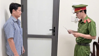 Khởi tố đối tượng xuất khống hóa đơn giết mổ heo để trục lợi