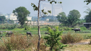 Sắp hết tháng 4/2026 vẫn chưa chi trả xong tiền bồi thường, thu hồi đất của năm 2025