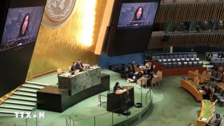 Việt Nam kêu gọi tuân thủ nghiêm túc và cân bằng cả 3 trụ cột của Hiệp ước NPT