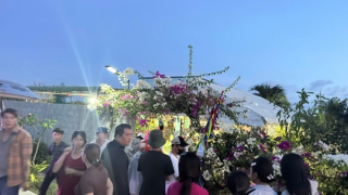Sau "chén chú chén anh" là án mạng