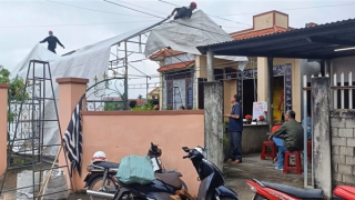 Bắt giữ nghịch tử nghi sát hại mẹ ruột trong đêm