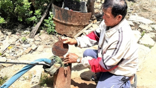 Lâm Đồng: Sống ngột ngạt quanh trại heo bốc mùi nồng nặc