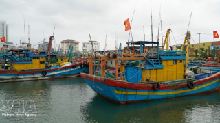An Giang ramps up action to meet EC's anti-IUU fishing requirements