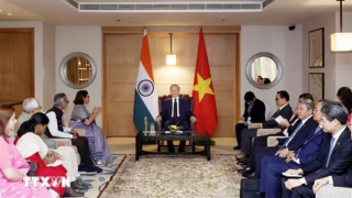 Tổng Bí thư, Chủ tịch nước Tô Lâm tiếp Chủ tịch Hội Hữu nghị Ấn Độ-Việt Nam