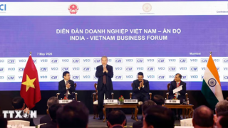 Tổng Bí thư, Chủ tịch nước Tô Lâm dự Diễn đàn doanh nghiệp Việt Nam-Ấn Độ