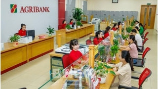 Agribank được Moody’s Ratings điều chỉnh triển vọng xếp hạng từ “Ổn định” lên “Tích cực”