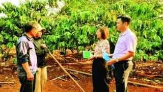 Tăng cường giám sát hoạt động tín dụng chính sách