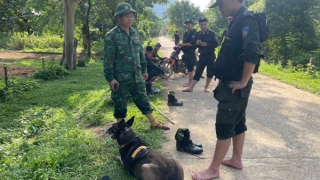 Truy tìm hung thủ nghi giết vợ cũ rồi bỏ trốn