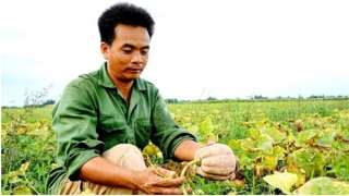 Vốn ngân hàng “thay áo” những vùng quê