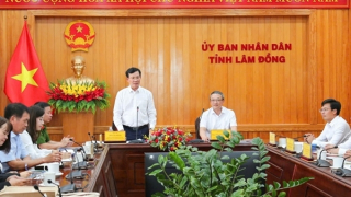 Sẵn sàng cho lễ hội thể thao quốc tế “Sports Festival” năm 2026