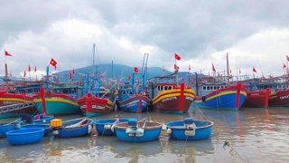 Quảng Trị: Hỗ trợ ngư dân yên tâm bám biển bảo vệ ngư trường