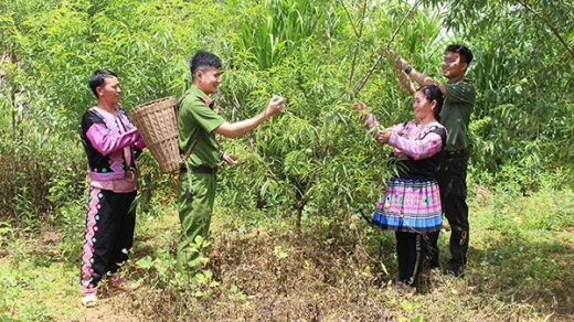 Tổng quan hán việt đại từ điển với hàng ngàn từ mới cập nhật