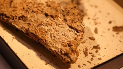 Hóa thạch kỳ lạ 540 triệu năm tuổi làm rung chuyển lịch sử tiến hóa