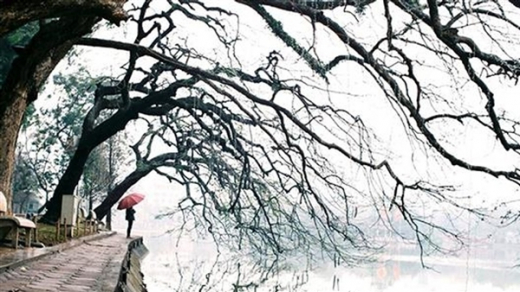 Những ngày rét ngọt đầu đông