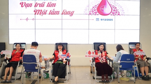 “Tuần lễ hồng EVN lần thứ XI”