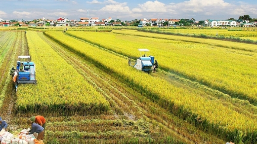 Việt Nam được đánh giá là điểm sáng giảm nghèo đa chiều