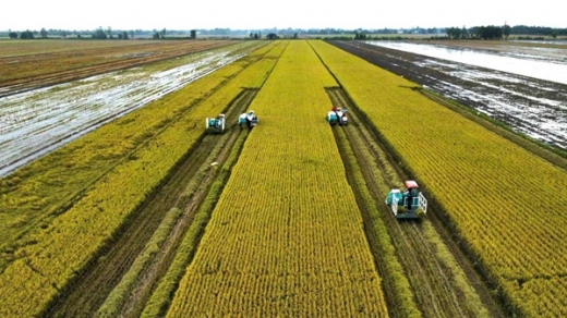 Sản xuất xanh để giảm ô nhiễm, tăng lợi nhuận