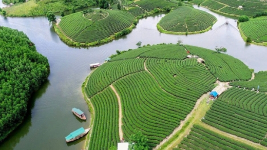 Dự án nghìn tỷ Đảo chè - Cầu Cau “treo” đến bao giờ?