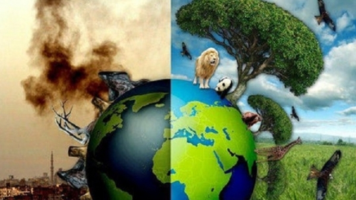 Tội phạm Môi trường trỗi dậy thành mối đe dọa Toàn cầu