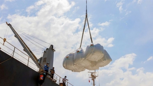 Vietnam exports over 8 million tonnes of rice, earning 4.1 billion USD in 2025