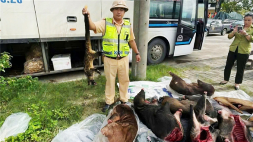 Chợ thú rừng và những chiêu thức “nhá hàng”