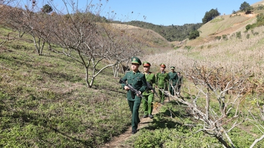 Bước chân gieo mầm bình yên