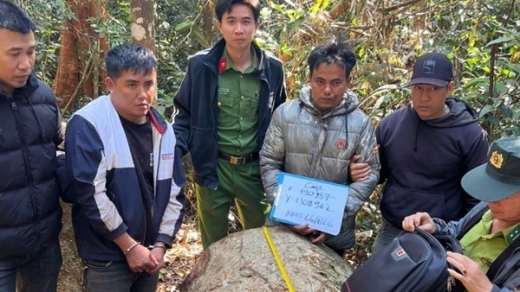 Truy bắt nhóm đối tượng khai thác gỗ lậu lúc nửa đêm