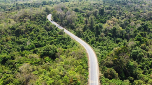 Vietnam launches US$102 million initiative to protect forests, boost rural incomes