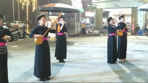 Rừng hoa xuân tuyết bay