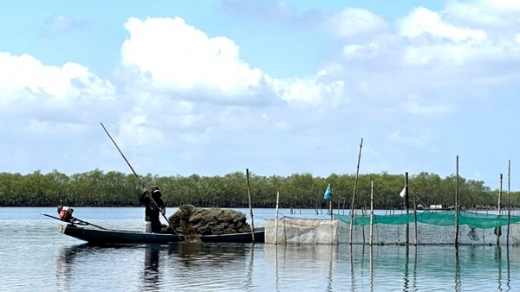 Phát huy tiềm năng, khai thác hiệu quả lợi thế hệ đầm phá nước lợ lớn nhất Đông Nam Á