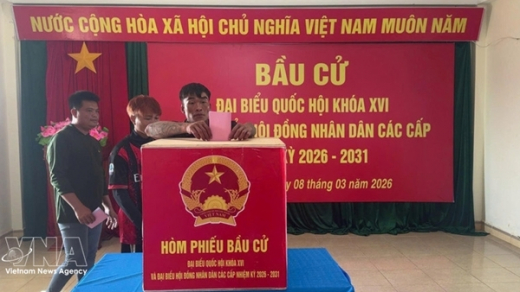 Vietnamese NA helps build institutional foundations for long-term development: Canadian researcher