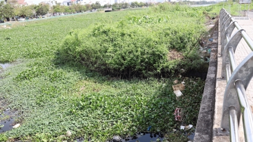 Nhếch nhác tại công trình trăm tỷ "nhiều tai tiếng" ở Cần Thơ