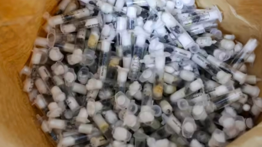 Kiến bay “lậu”