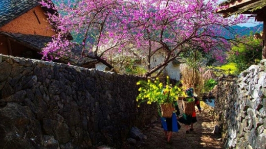 Ta như Nguyên đán của nhau