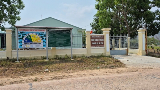 Tạm đình chỉ công tác Giám đốc Ban quản lý rừng để phục vụ điều tra