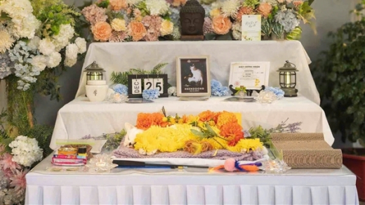 Đám tang thú cưng: Giọt nước mắt thật hay nghi lễ của sự dư dả?