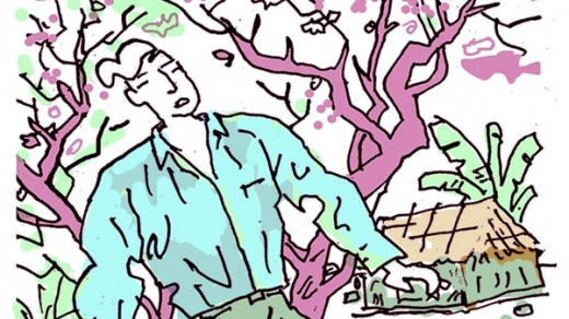 Cây đào phai bên bờ rào đá