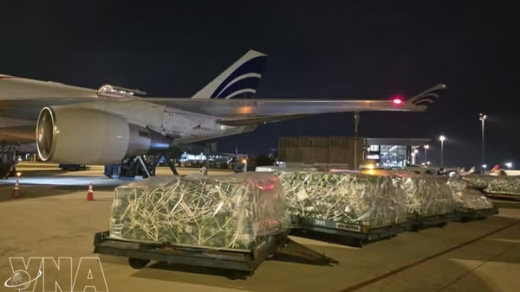 Nearly 100 tonnes of Vietnamese fruits, vegetables airlifted to UAE