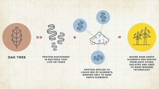 Dùng vi khuẩn “khai thác” đất hiếm từ nước thải