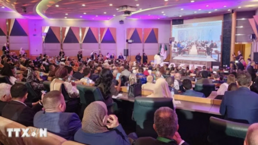Vietnamese farm produce promoted at African investment, trade forum