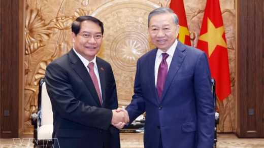 Top leader of Vietnam receives Vientiane official in Hanoi