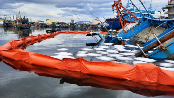 Khẩn cấp xử lý sự cố tràn dầu do chìm tàu cá tại cảng cá Thọ Quang -2