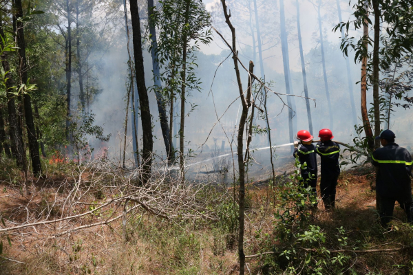 Liên tiếp xảy ra nhiều vụ cháy rừng tại Huế  -0